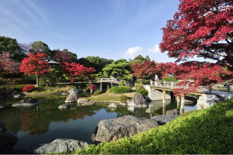 The Japanese garden (Provided by Sakai City)