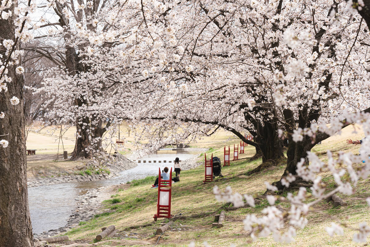 Ryuo (Shingen-tsutsumi Park)