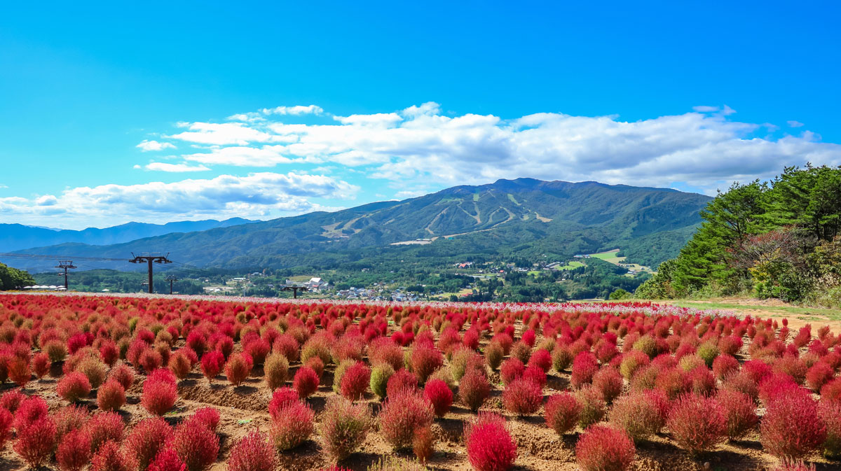 Hirugano Highlands