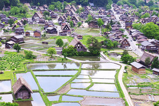 shirakawago