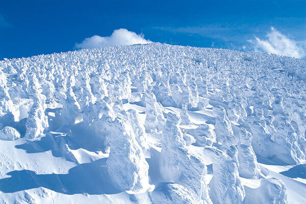 Yamagata Zao & Samurai Town Aizuwakamatsu 2 Days