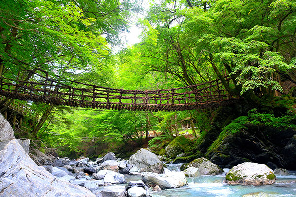 이야노카즈라바시